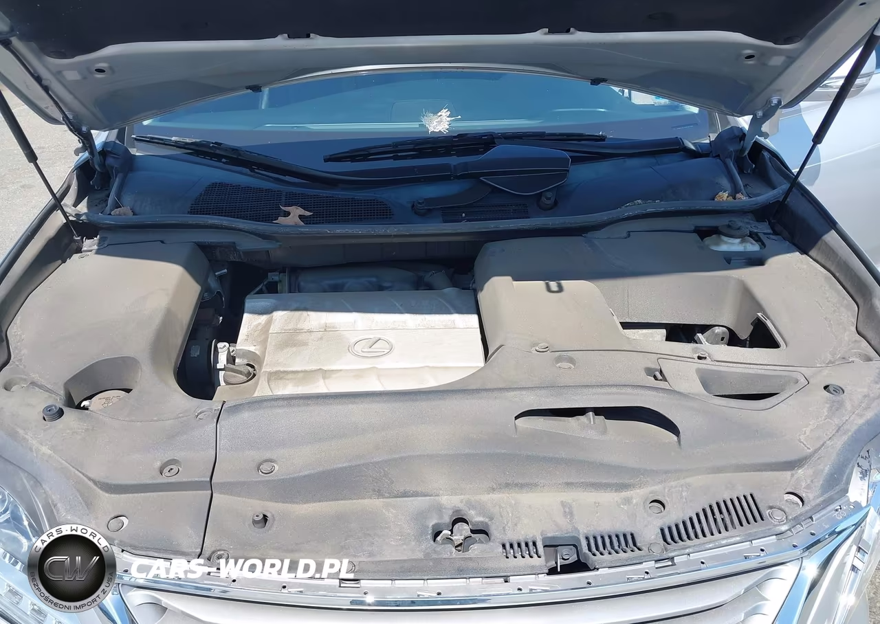 2013 Lexus Rx 350 VIN:2T2BK1BA2DC164145 - 10