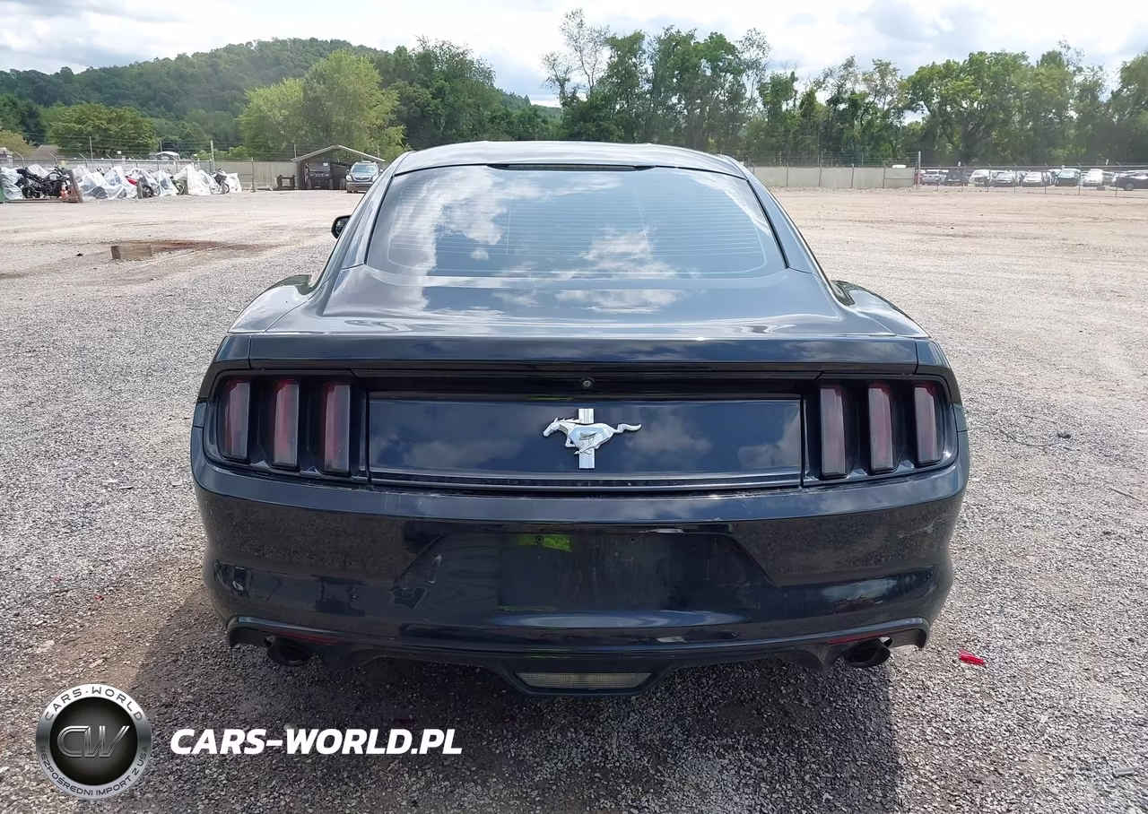 2017 Ford Mustang V6 VIN:1FA6P8AM9H5343819 - 17