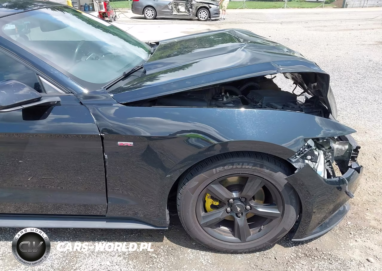 2017 Ford Mustang V6 VIN:1FA6P8AM9H5343819 - 19