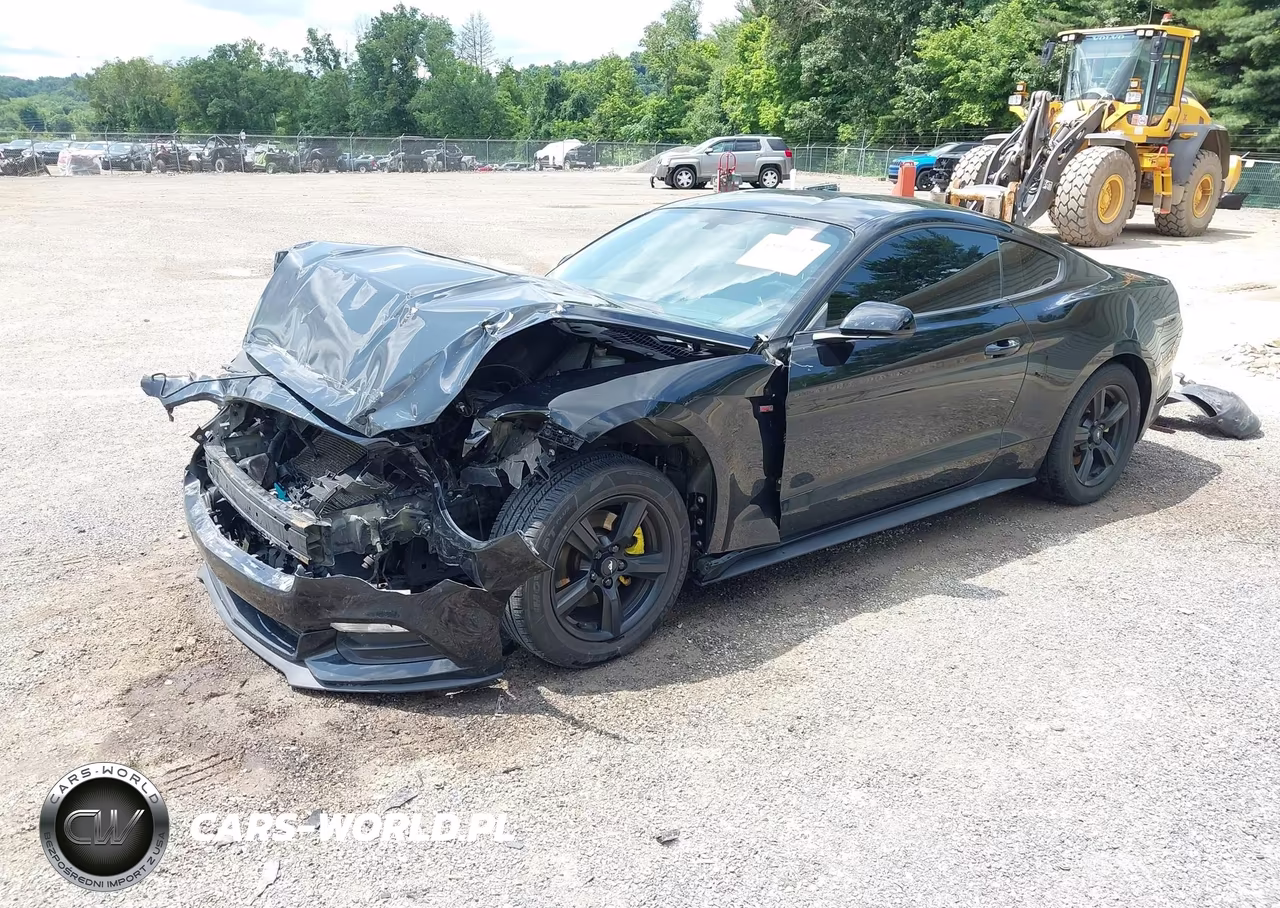 2017 Ford Mustang V6 VIN:1FA6P8AM9H5343819 - 2