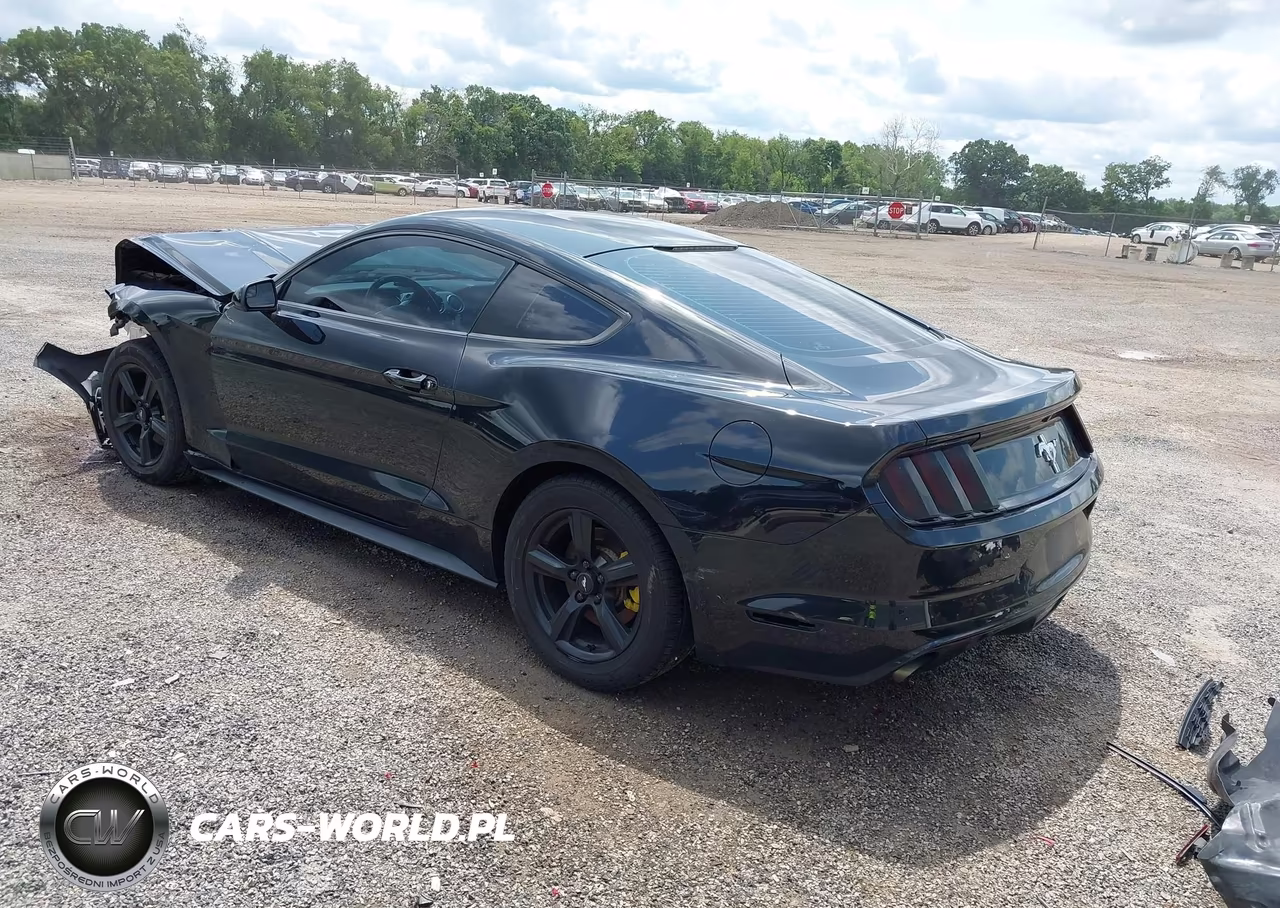 2017 Ford Mustang V6 VIN:1FA6P8AM9H5343819 - 3