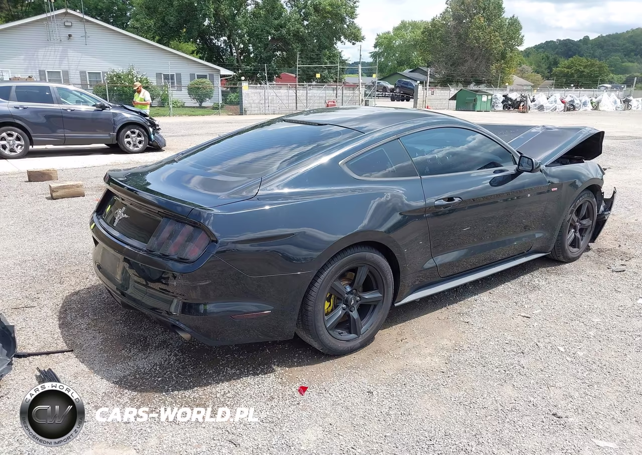 2017 Ford Mustang V6 VIN:1FA6P8AM9H5343819 - 4