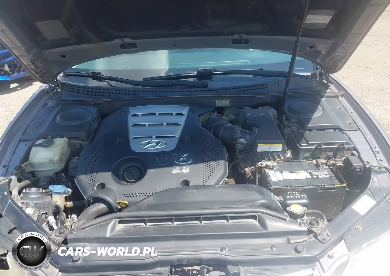 2007 Hyundai Azera Limited-Se VIN:KMHFC46F47A140444 - 10