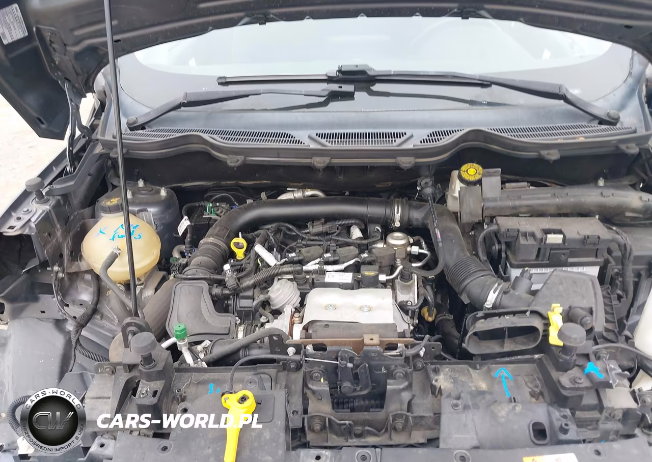 2019 Ford Ecosport Se VIN:MAJ3S2GE8KC303202 - 10
