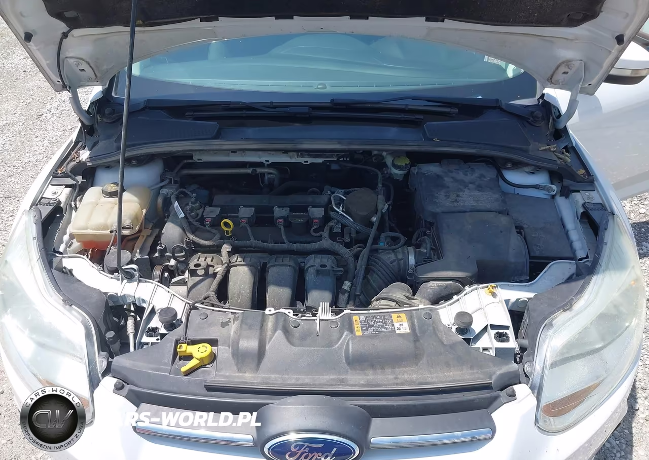 2014 Ford Focus Se VIN:1FADP3K23EL390665 - 10