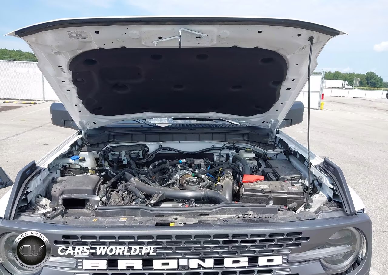 2024 Ford Bronco Badlands VIN:1FMEE9BP1RLB13520 - 10