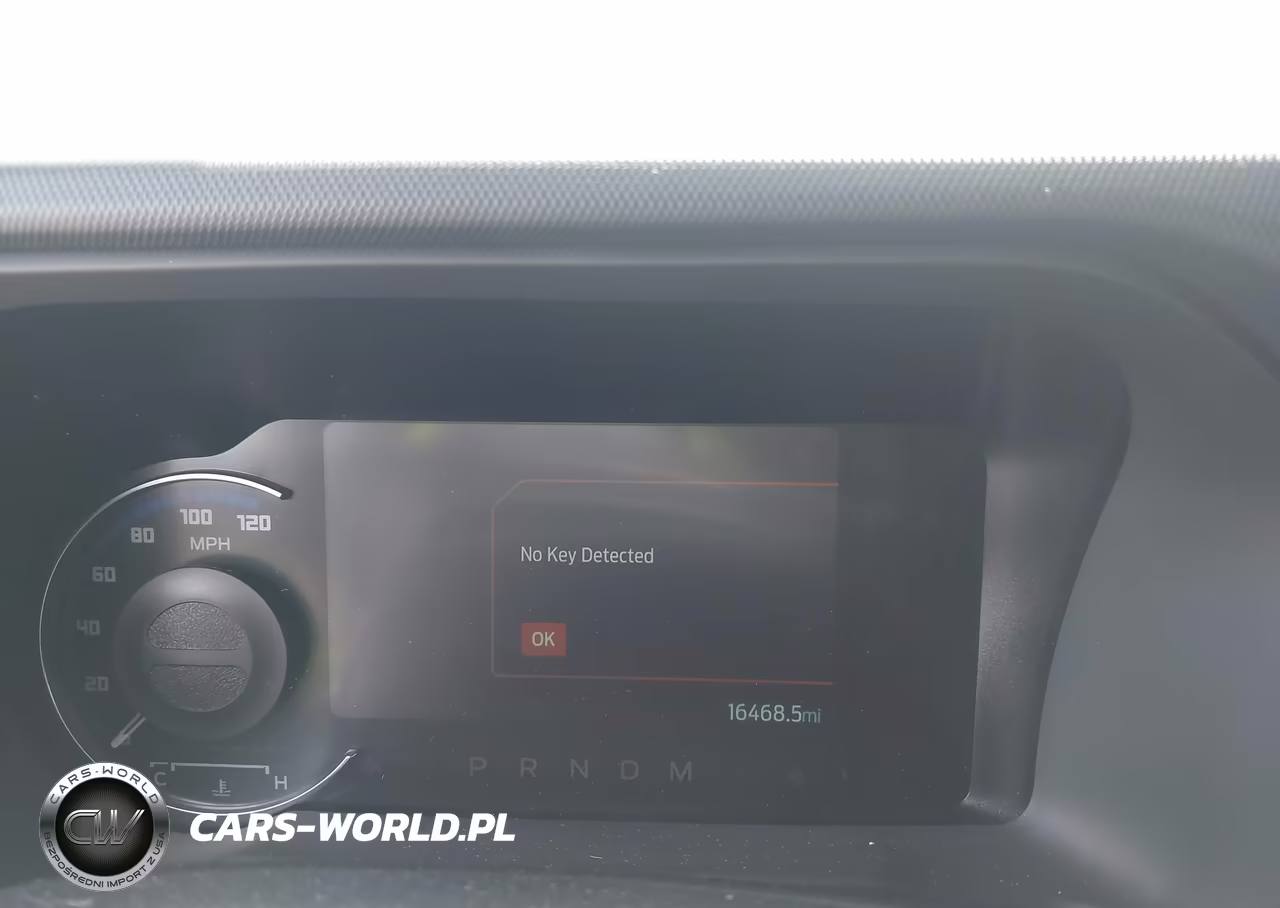 2024 Ford Bronco Badlands VIN:1FMEE9BP1RLB13520 - 7