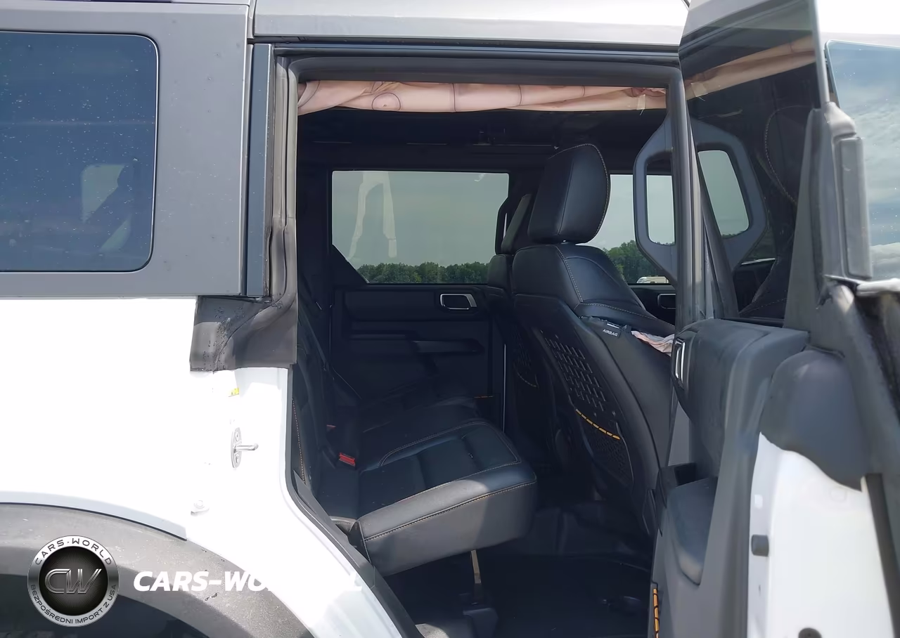 2024 Ford Bronco Badlands VIN:1FMEE9BP1RLB13520 - 8