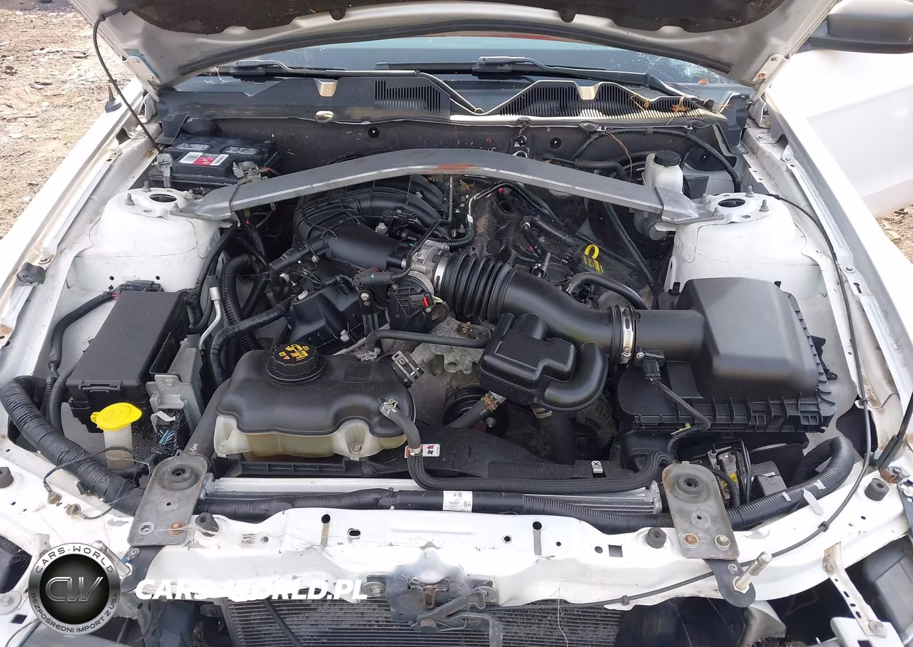 2011 Ford Mustang VIN:1ZVBP8EM1B5150409 - 10
