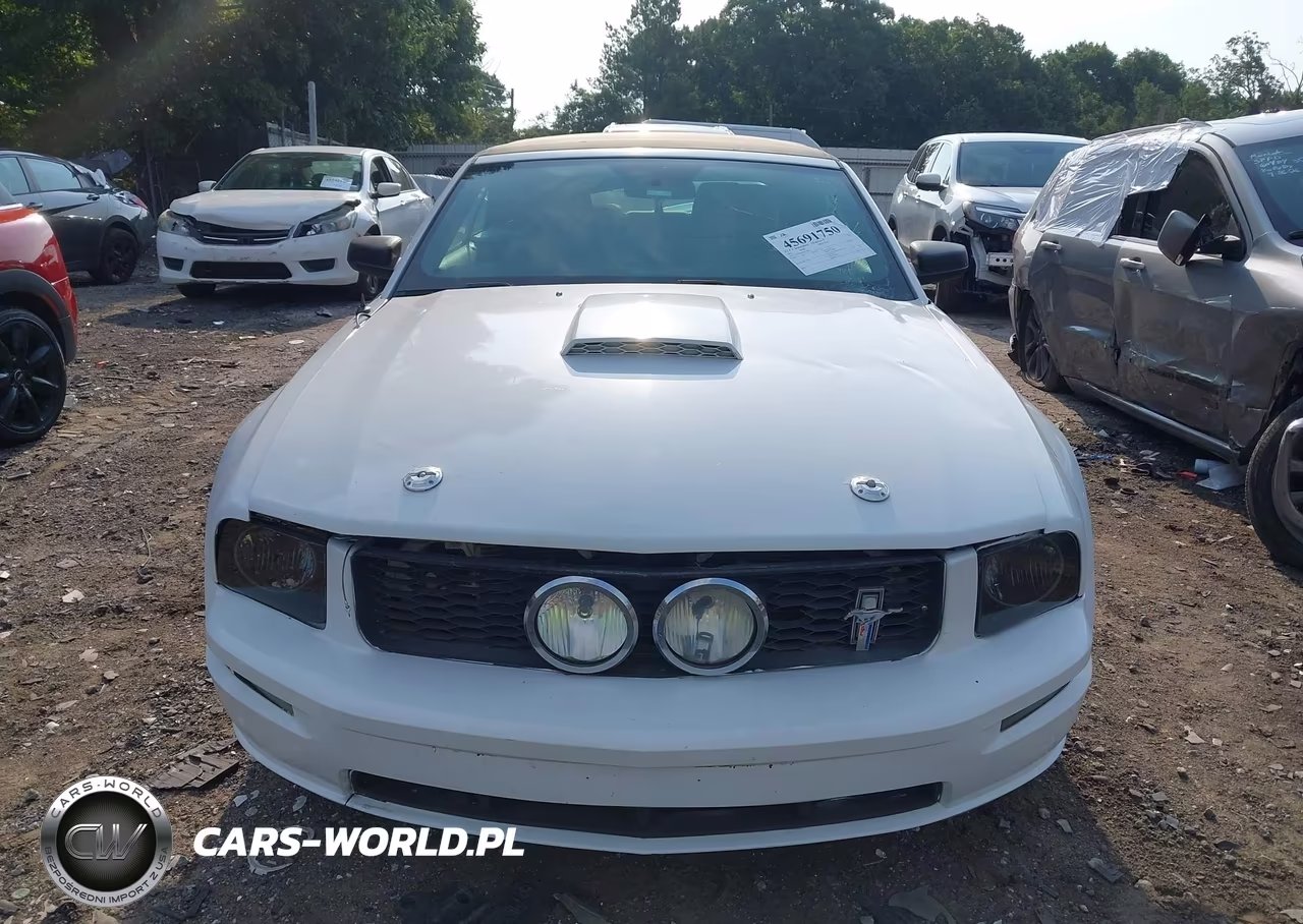 2011 Ford Mustang VIN:1ZVBP8EM1B5150409 - 12