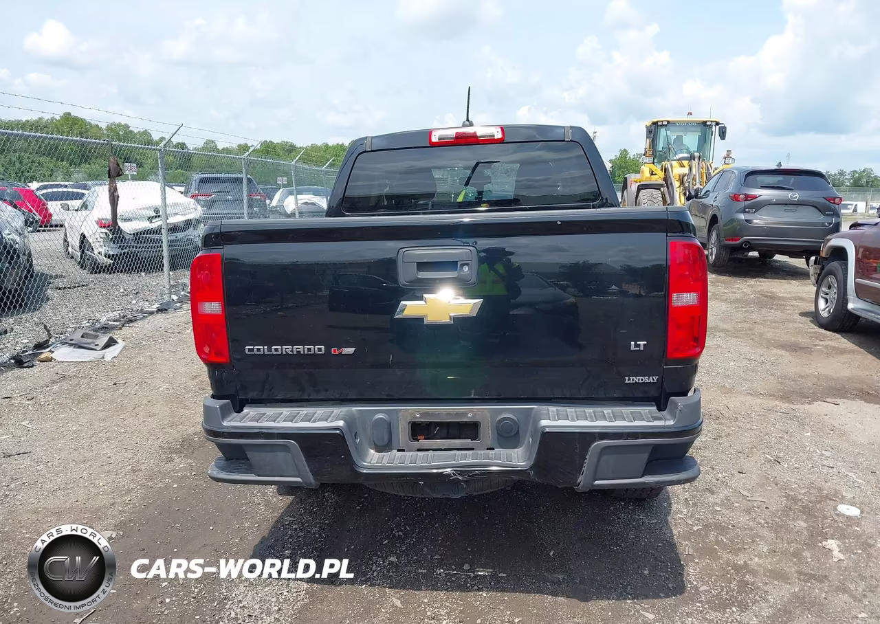 2019 Chevrolet Colorado Lt VIN:1GCGTCENXK1351734 - 16