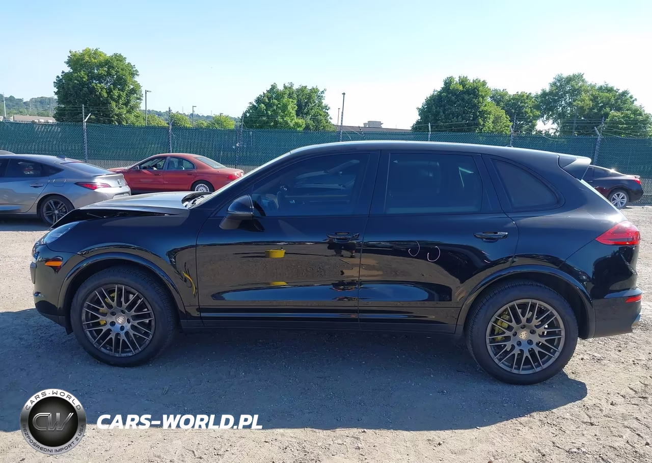 2017 Porsche Cayenne Platinum Edition VIN:WP1AA2A26HKA84031 - 14