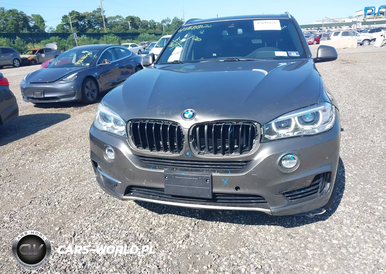 2018 BMW X5 Edrive xDrive40E Iperformance VIN:5UXKT0C50J0W02114 - 12