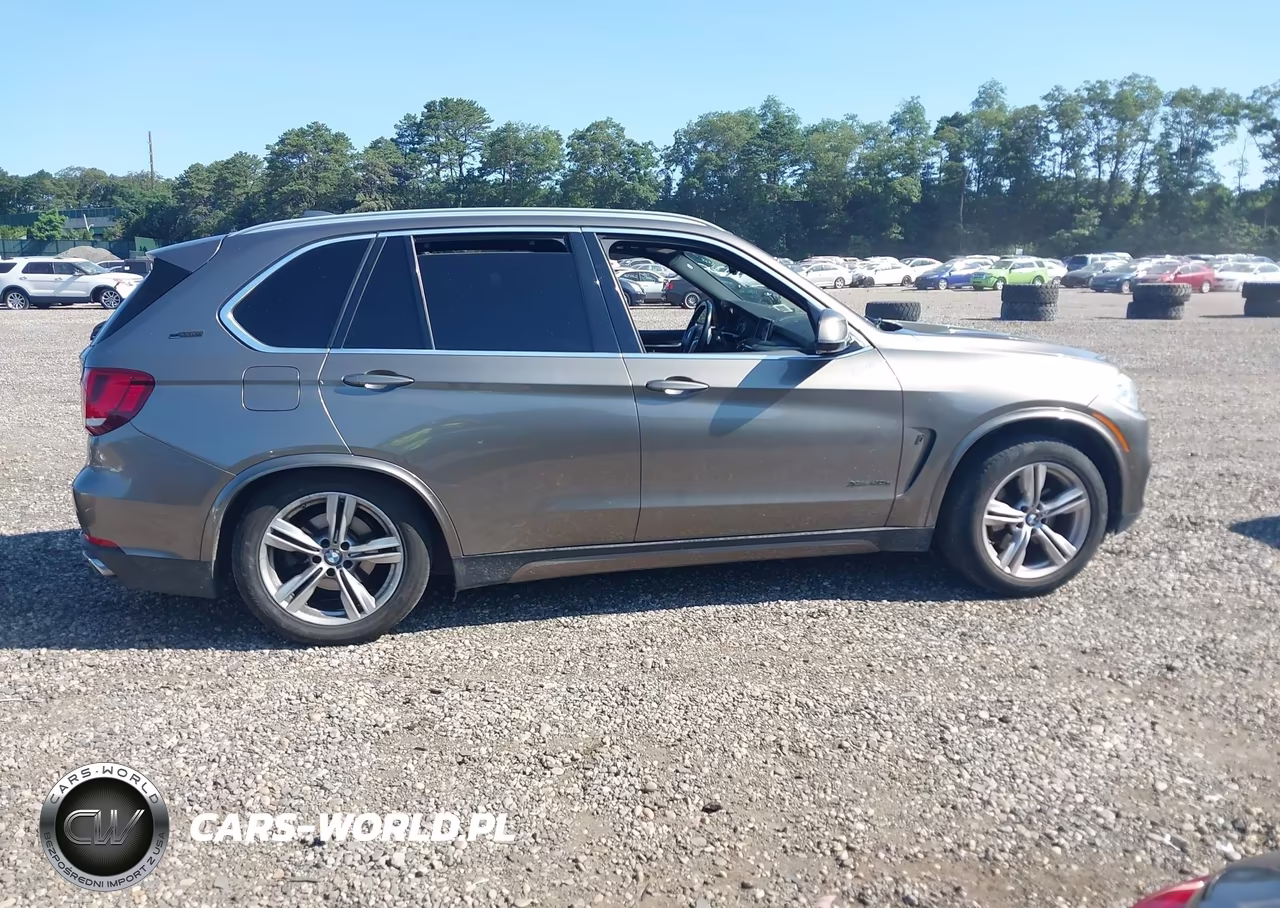 2018 BMW X5 Edrive xDrive40E Iperformance VIN:5UXKT0C50J0W02114 - 13