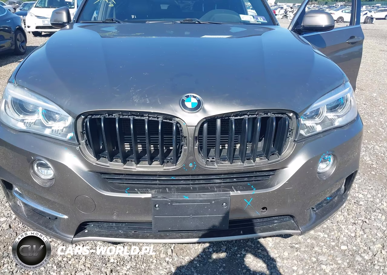 2018 BMW X5 Edrive xDrive40E Iperformance VIN:5UXKT0C50J0W02114 - 6