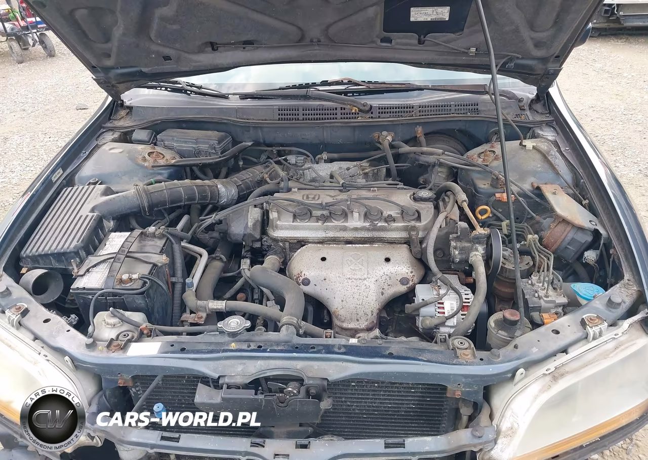 1998 Honda Accord Ex VIN:1HGCG5651WA008055 - 10
