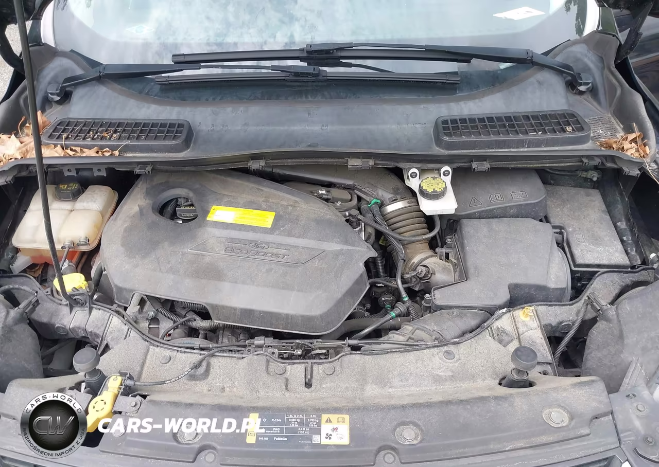 2016 Ford Escape Titanium VIN:1FMCU9JX4GUB10257 - 10