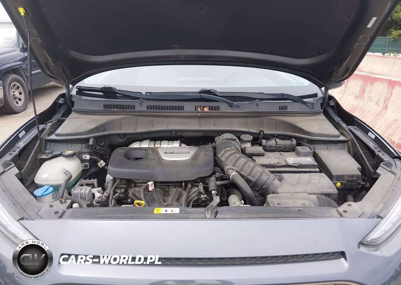 2019 Hyundai Kona Limited VIN:KM8K3CA50KU231869 - 10
