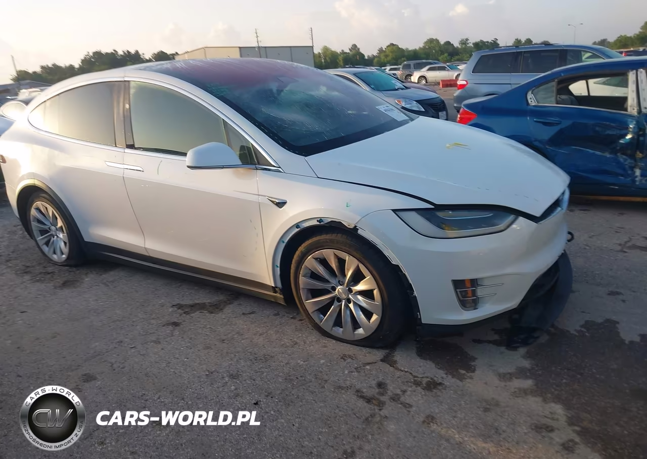 2018 Tesla Model X 100D-75D-P100D VIN:5YJXCDE24JF111726 - 1