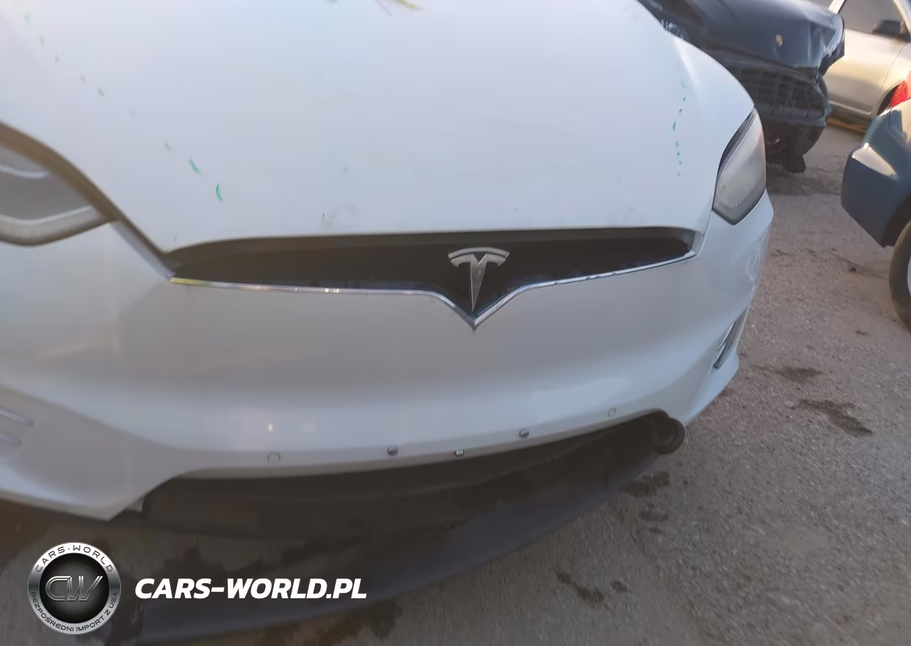 2018 Tesla Model X 100D-75D-P100D VIN:5YJXCDE24JF111726 - 12