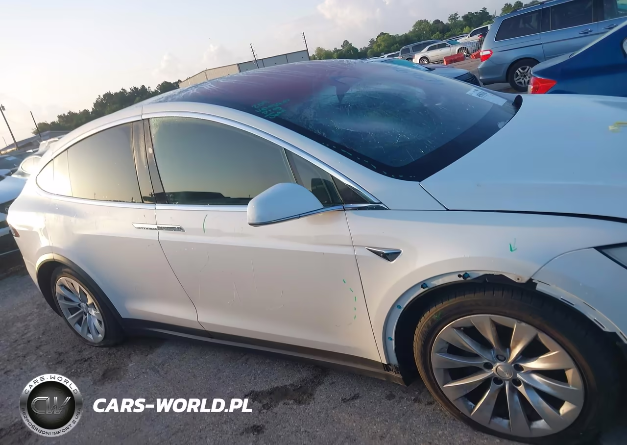 2018 Tesla Model X 100D-75D-P100D VIN:5YJXCDE24JF111726 - 13