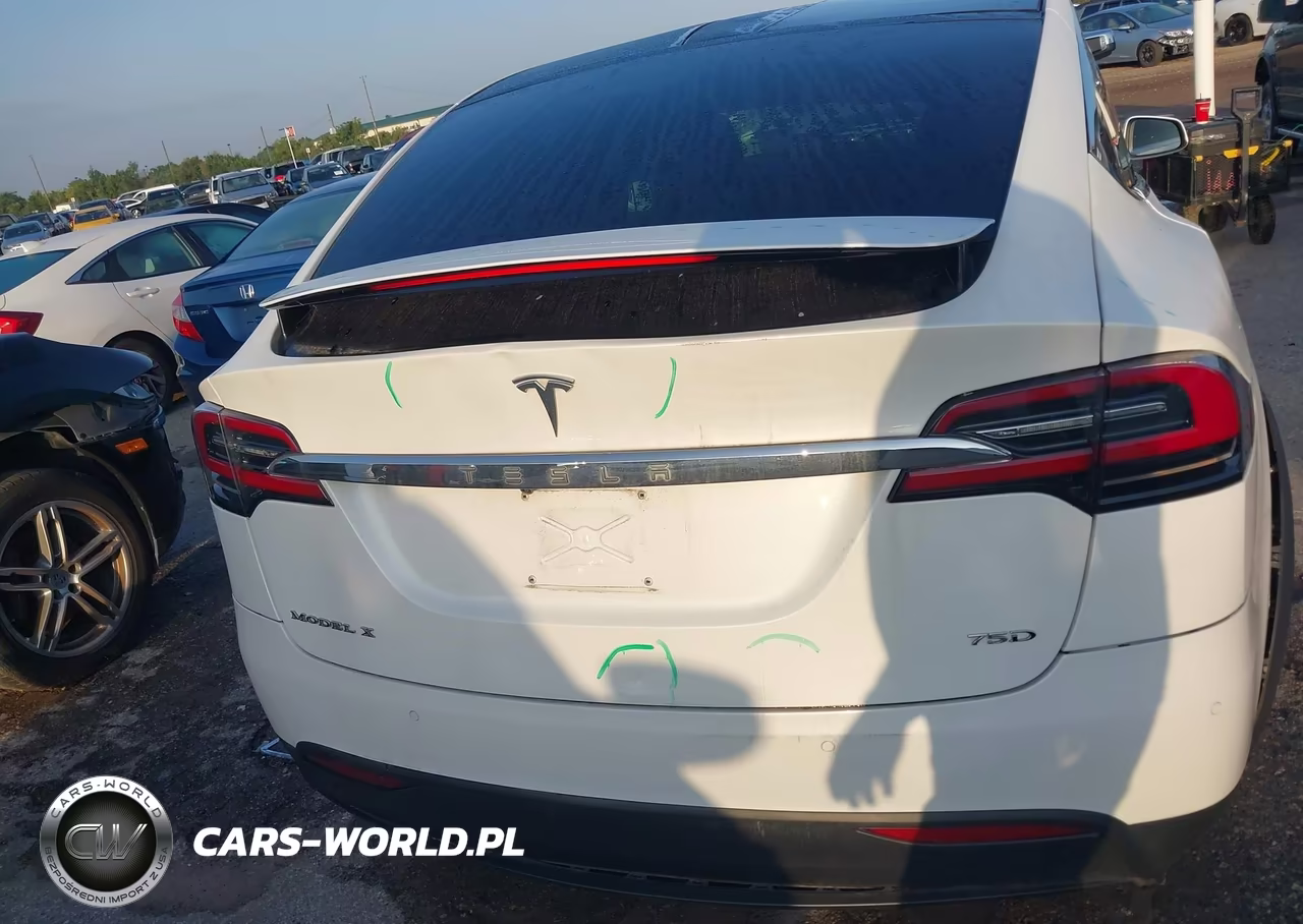 2018 Tesla Model X 100D-75D-P100D VIN:5YJXCDE24JF111726 - 16