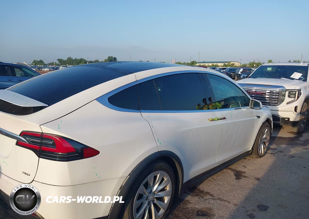2018 Tesla Model X 100D-75D-P100D VIN:5YJXCDE24JF111726 - 4