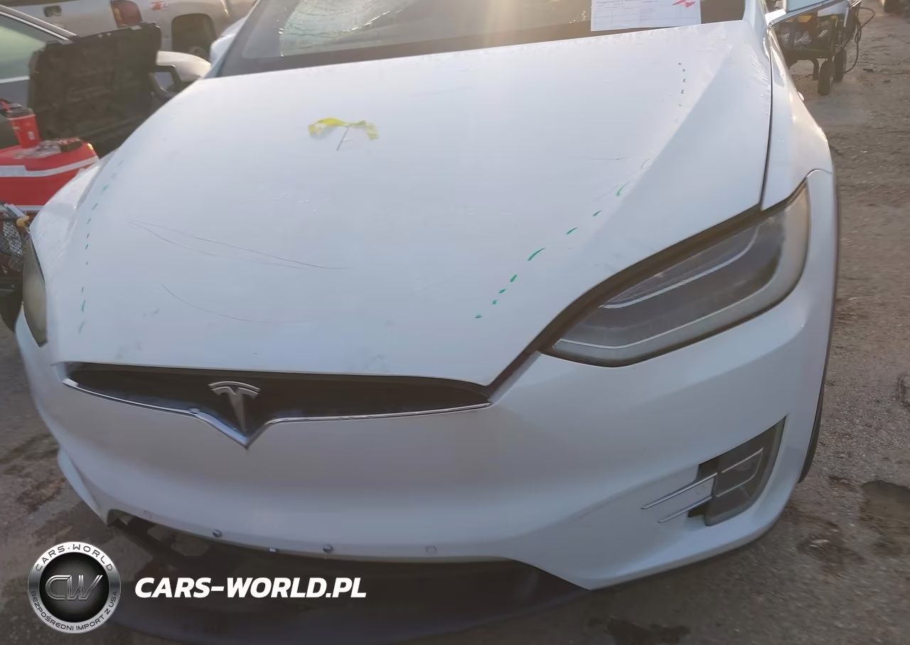 2018 Tesla Model X 100D-75D-P100D VIN:5YJXCDE24JF111726 - 6