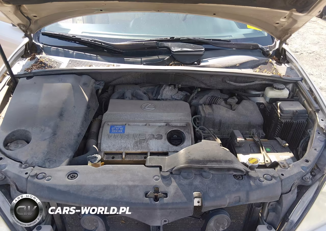 2005 Lexus Rx 330 VIN:2T2HA31U25C056369 - 10