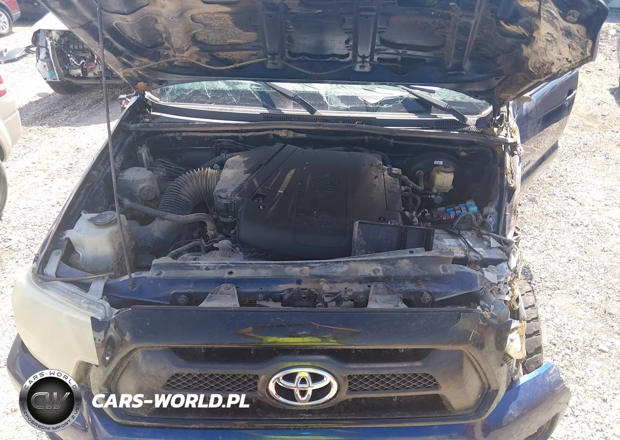 2015 Toyota Tacoma Base V6 VIN:5TFLU4EN5FX129896 - 10