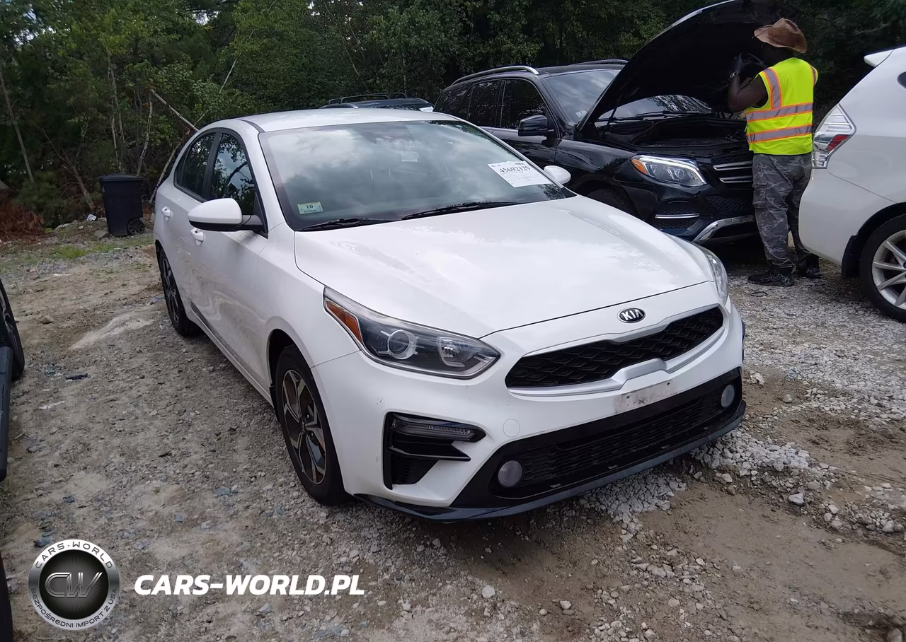 2019 Kia Forte Lxs VIN:3KPF24AD0KE131839 - 1
