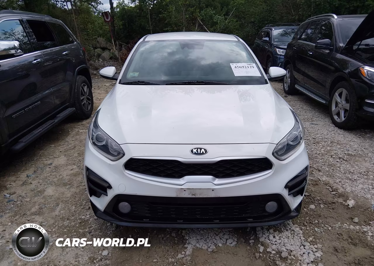 2019 Kia Forte Lxs VIN:3KPF24AD0KE131839 - 12