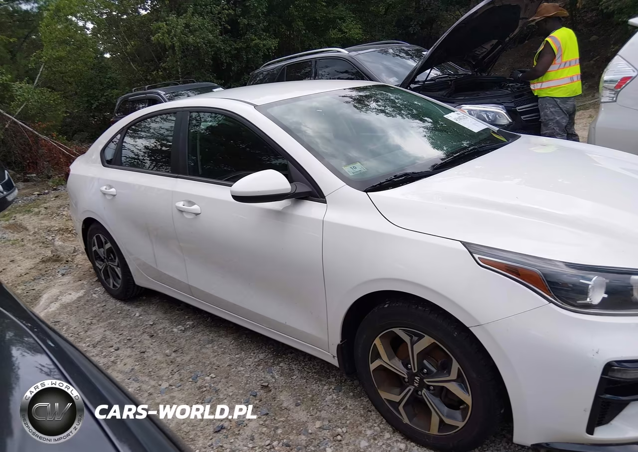 2019 Kia Forte Lxs VIN:3KPF24AD0KE131839 - 13