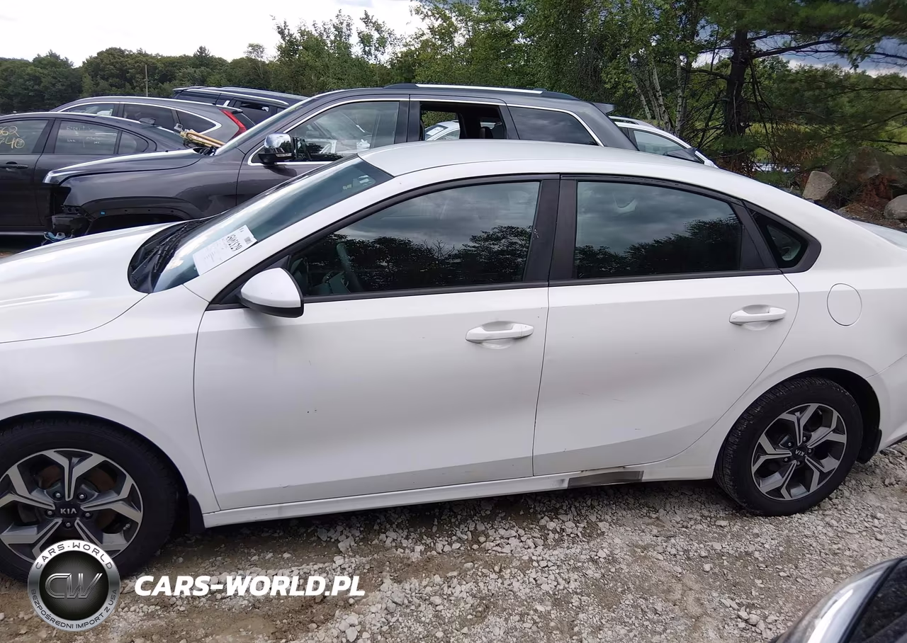 2019 Kia Forte Lxs VIN:3KPF24AD0KE131839 - 14