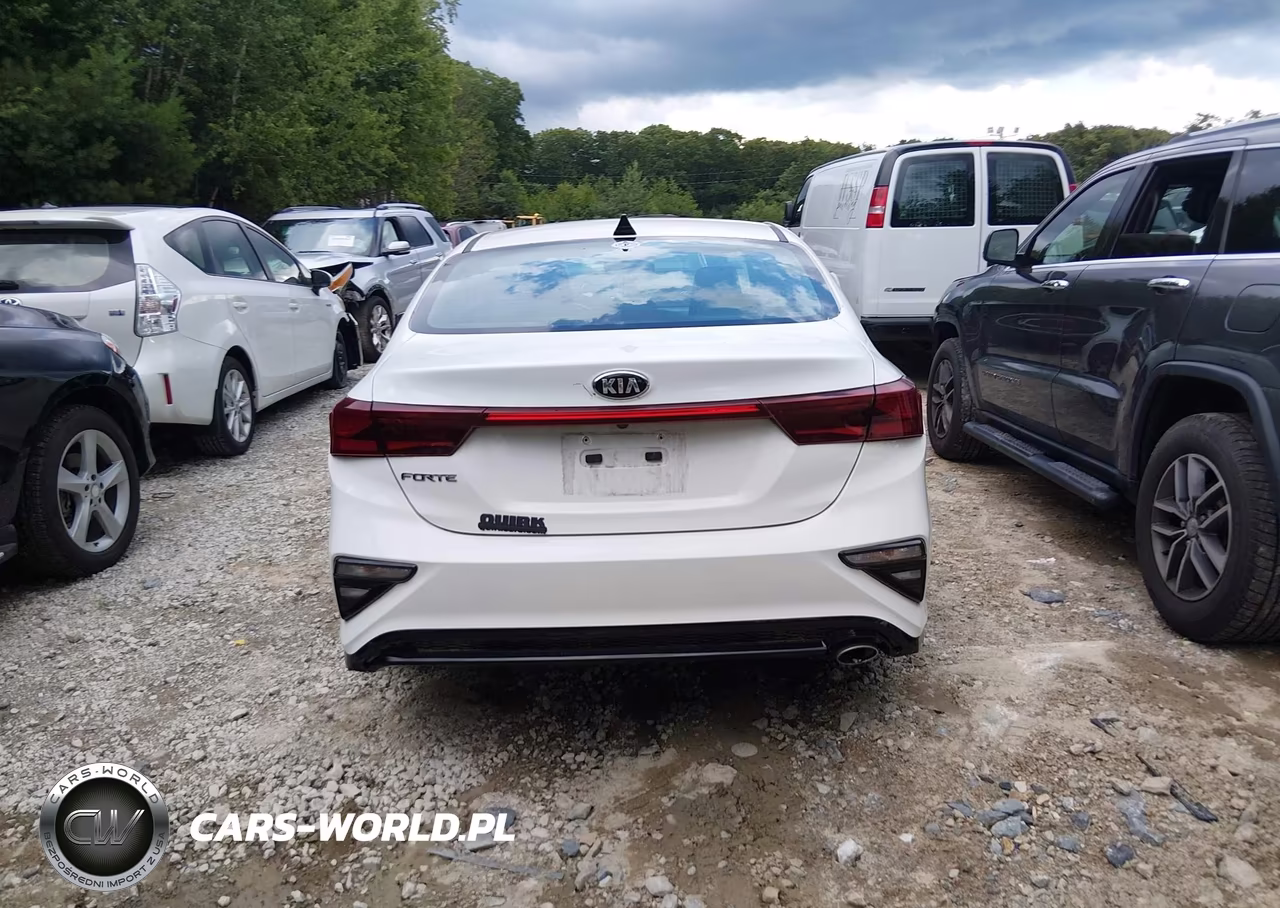 2019 Kia Forte Lxs VIN:3KPF24AD0KE131839 - 16