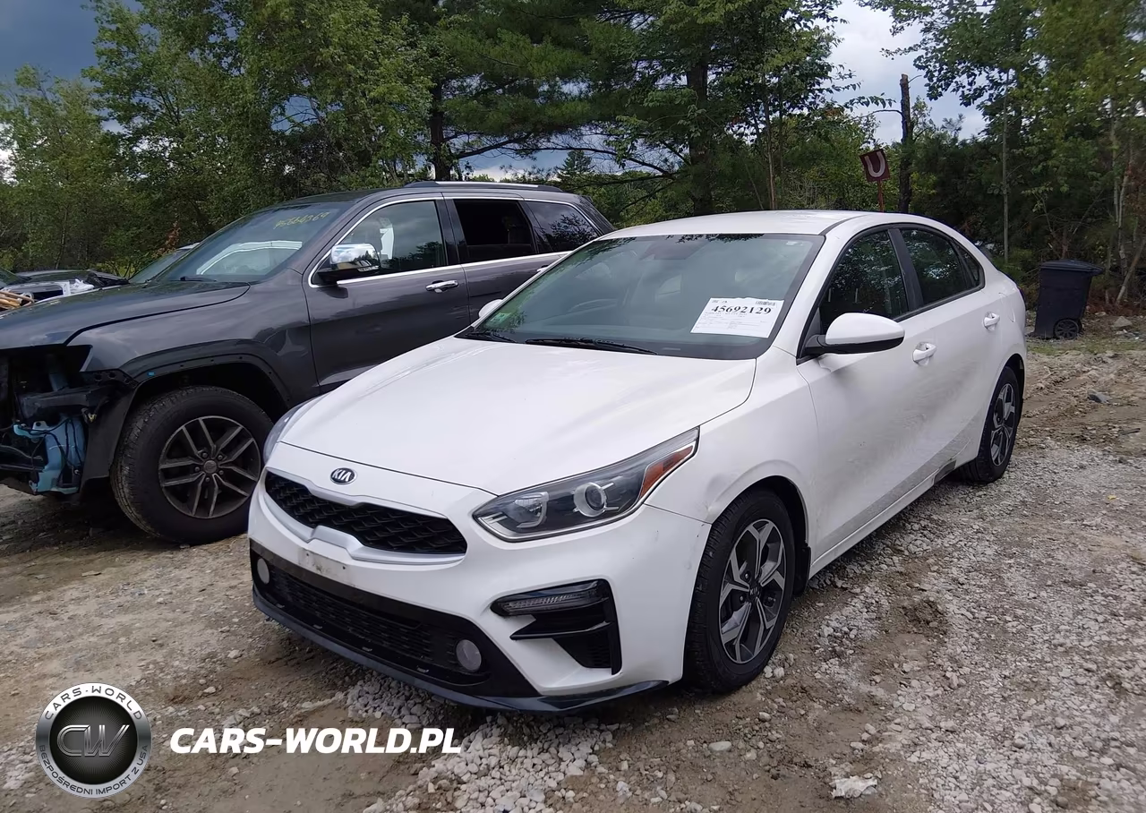 2019 Kia Forte Lxs VIN:3KPF24AD0KE131839 - 2