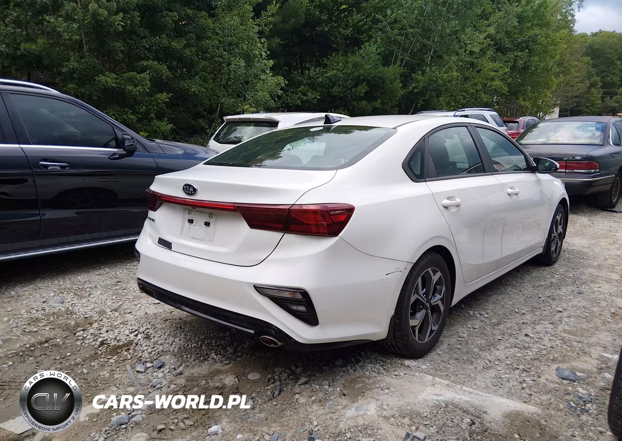 2019 Kia Forte Lxs VIN:3KPF24AD0KE131839 - 4