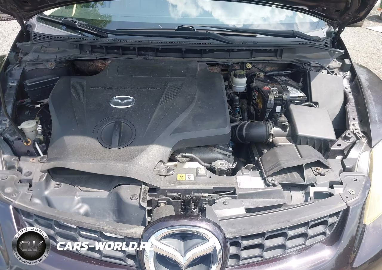 2009 Mazda Cx-7 Sport VIN:JM3ER29L290216134 - 10