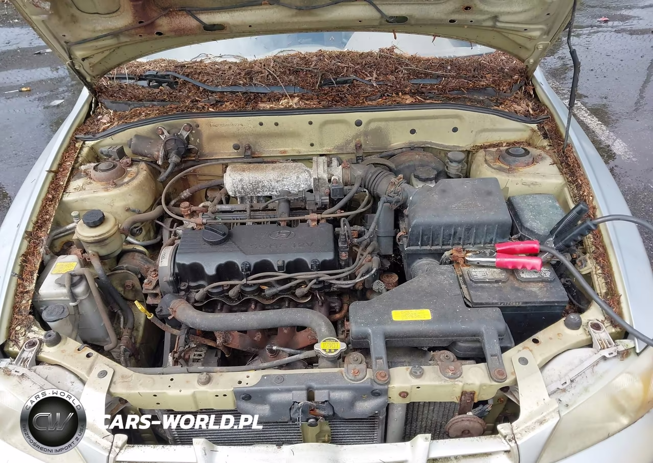 2002 Hyundai Accent L VIN:KMHCF35G22U202378 - 10