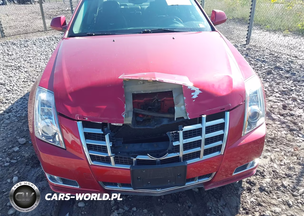 2013 Cadillac Cts Premium VIN:1G6DS5E37D0113206 - 6