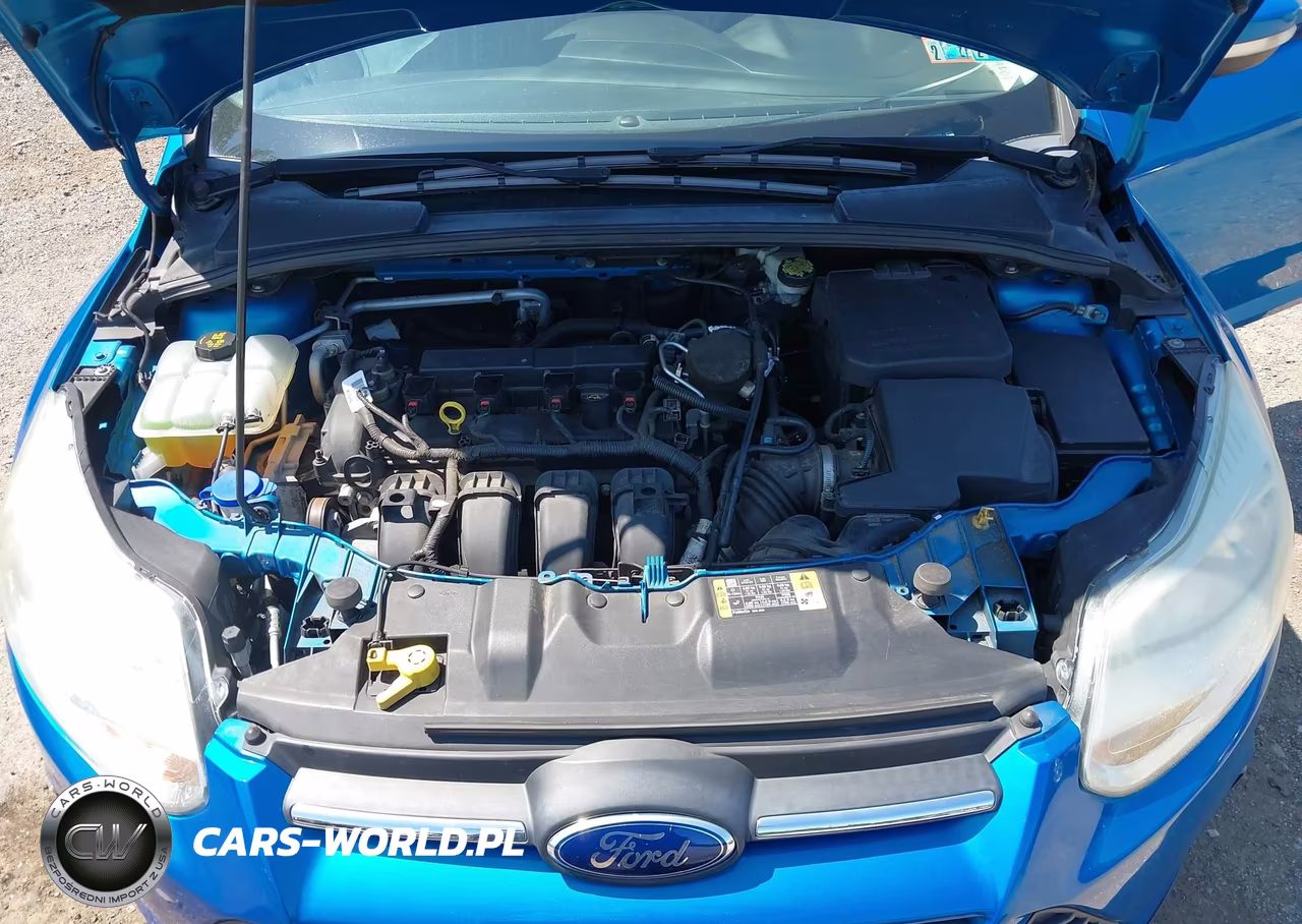2014 Ford Focus Se VIN:1FADP3F23EL395682 - 10