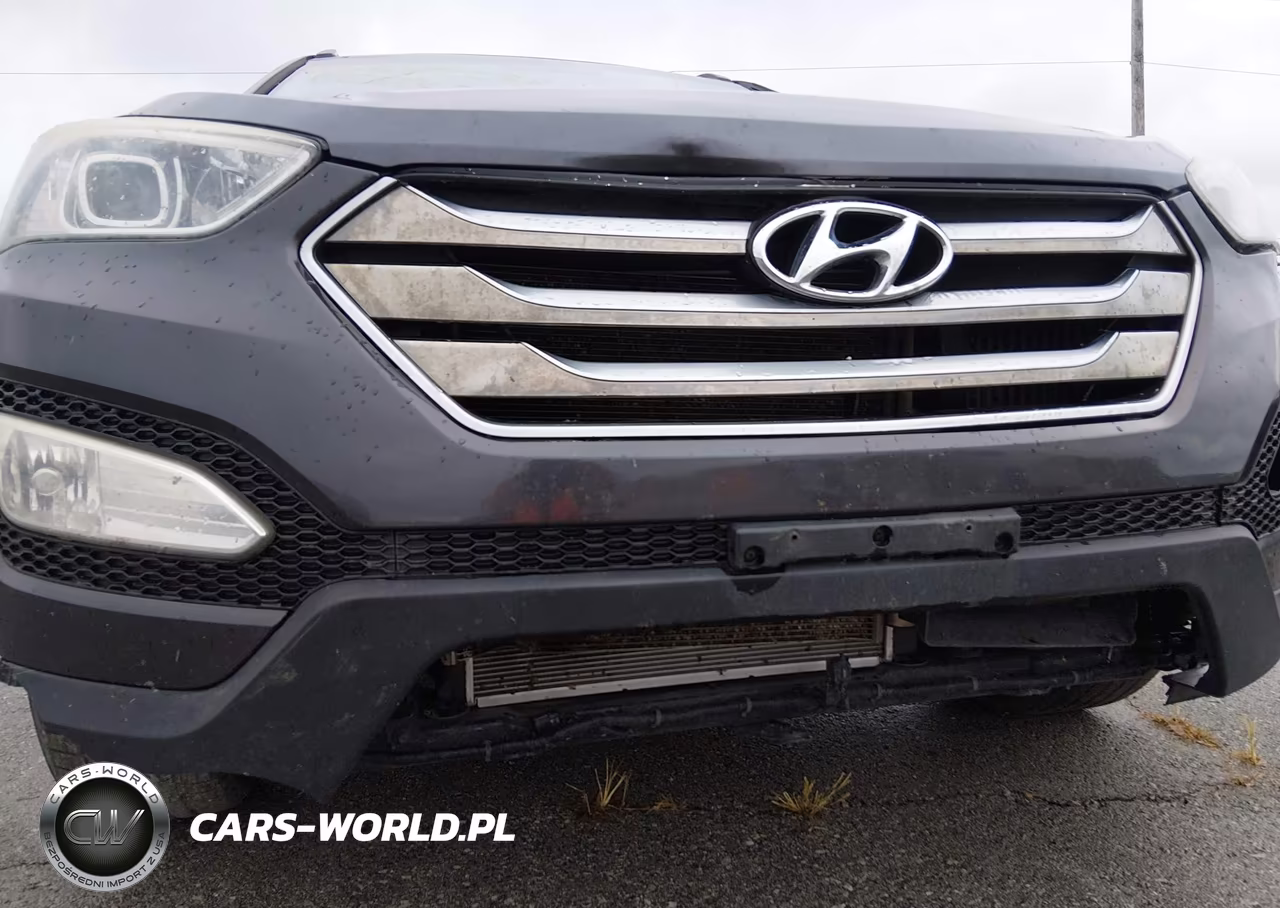 2015 Hyundai Santa Fe Sport 2.0L Turbo VIN:5XYZWDLA0FG248348 - 6