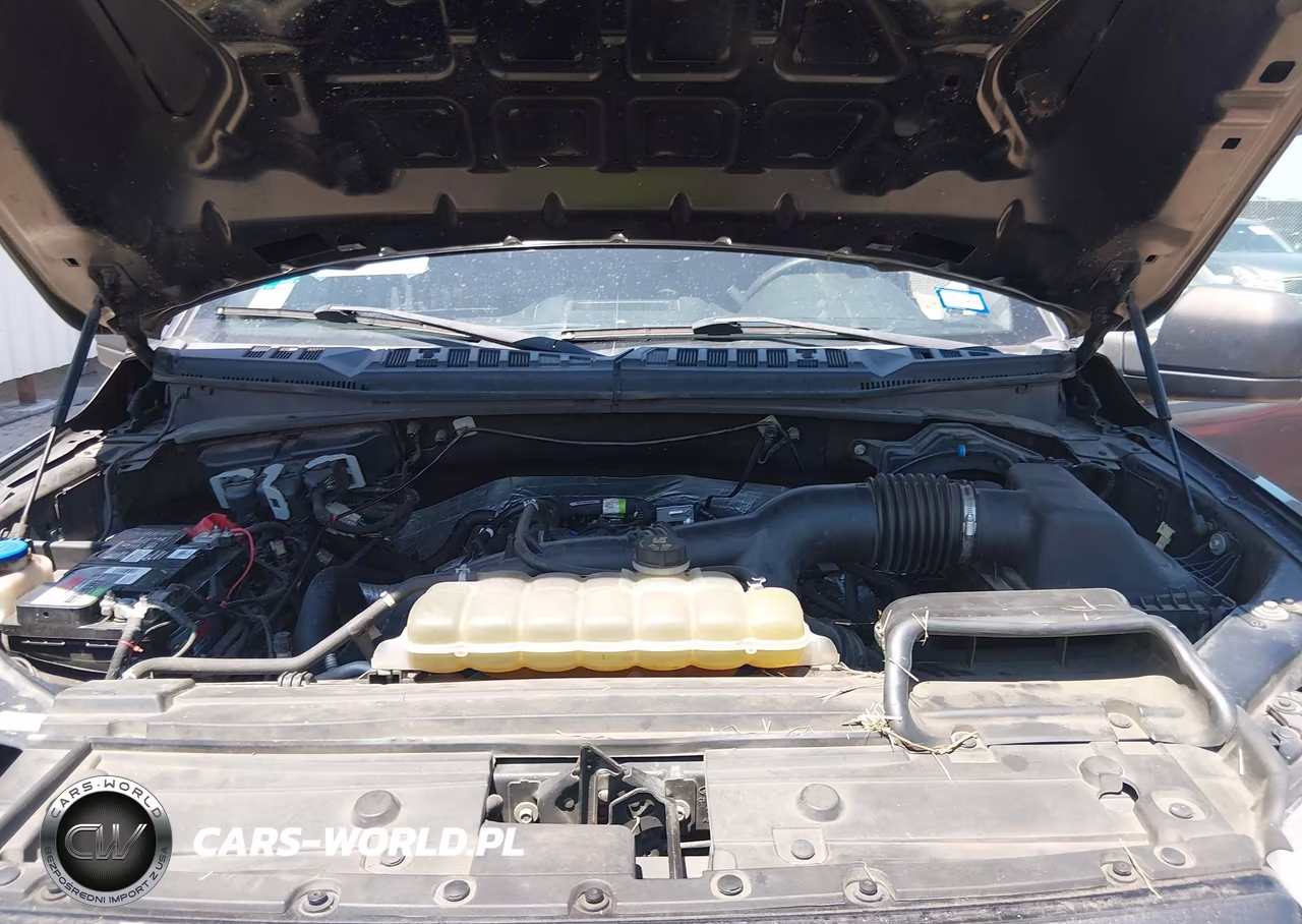 2019 Ford F-150 Xl VIN:1FTEW1EP8KKD89042 - 10