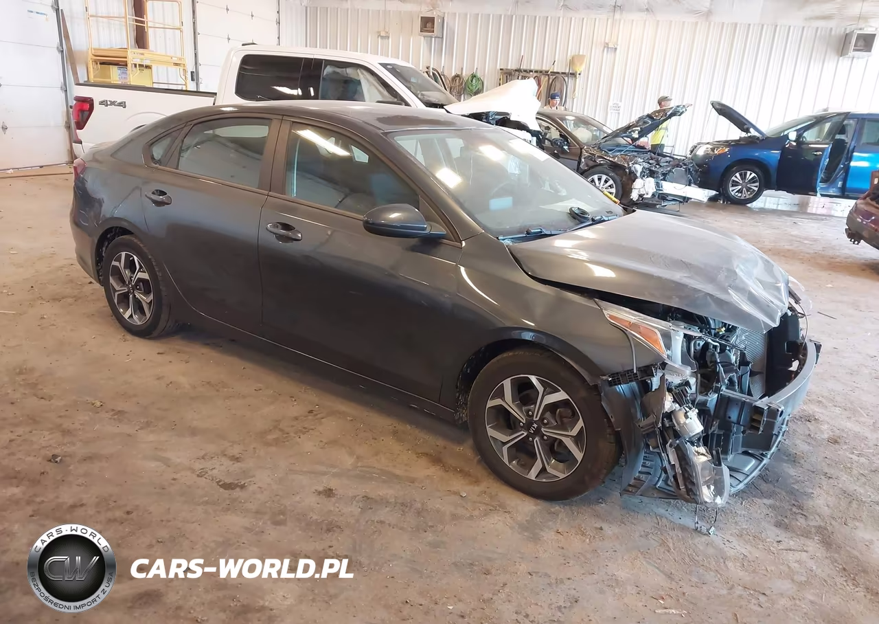 2019 Kia Forte Lxs