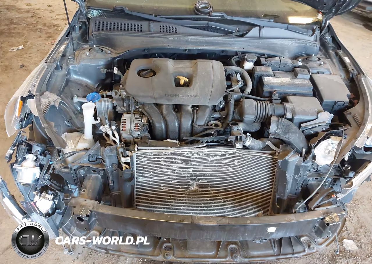 2019 Kia Forte Lxs VIN:3KPF24AD1KE077077 - 10