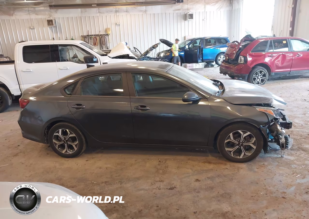 2019 Kia Forte Lxs VIN:3KPF24AD1KE077077 - 13