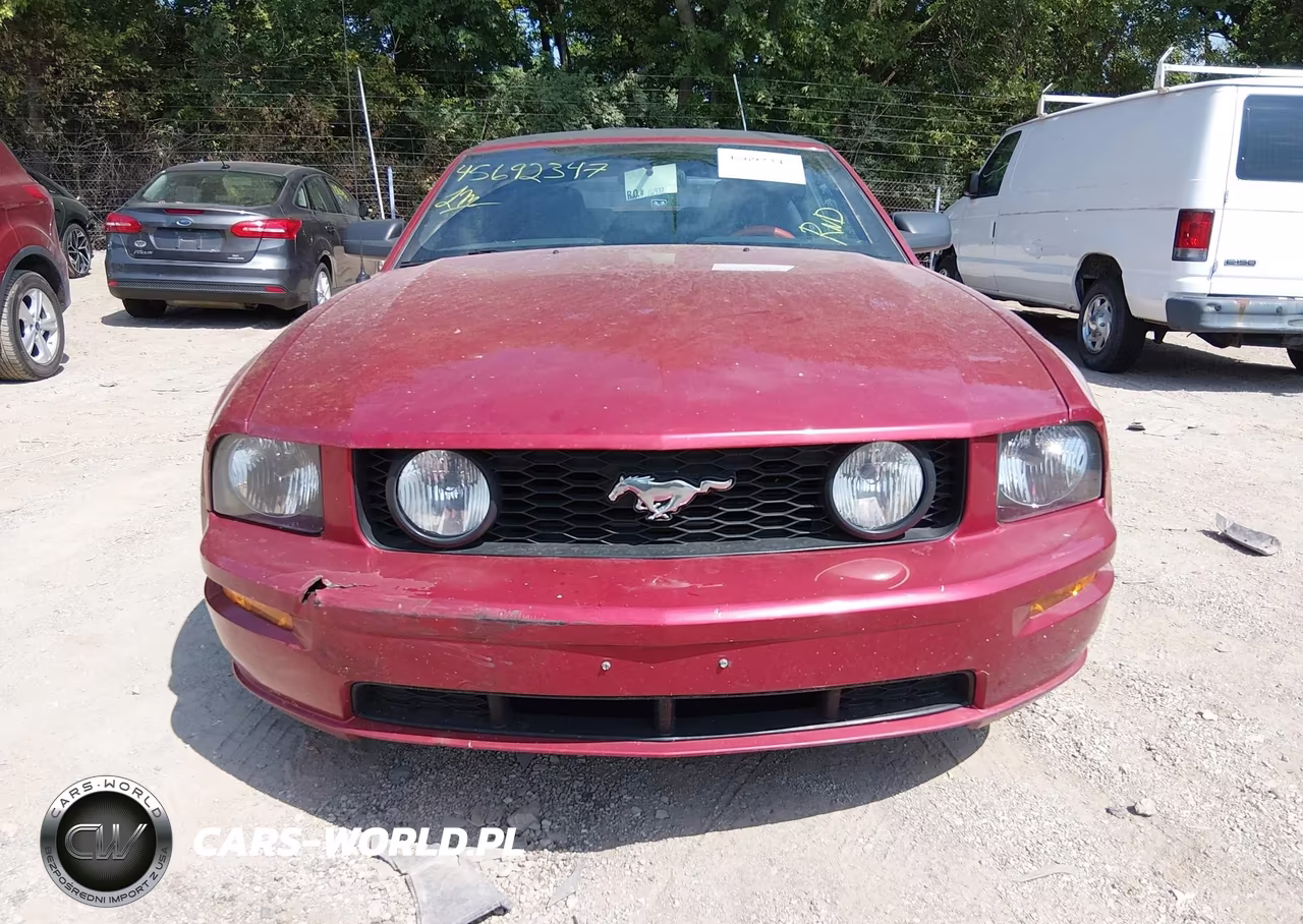 2006 Ford Mustang Gt VIN:1ZVFT85H665128119 - 13