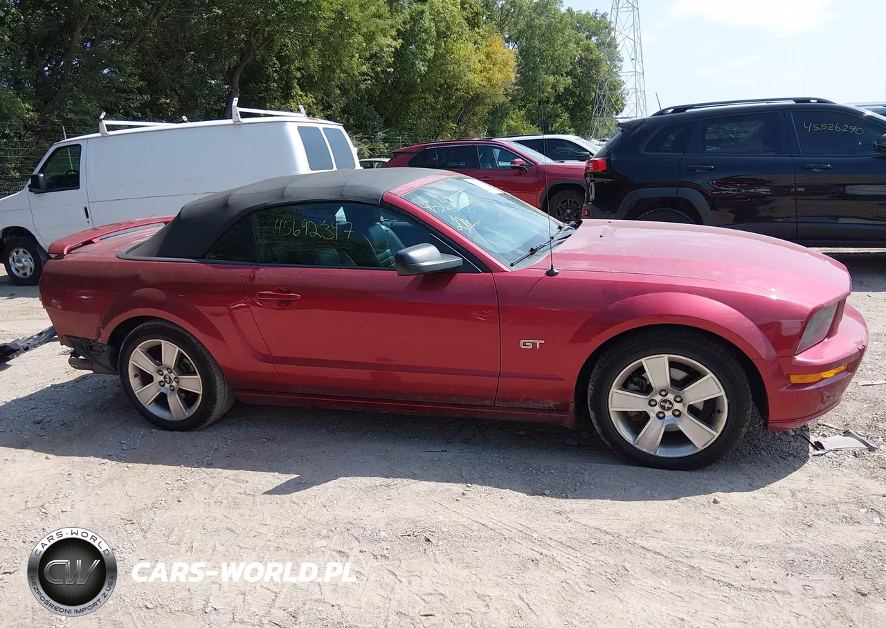 2006 Ford Mustang Gt VIN:1ZVFT85H665128119 - 14