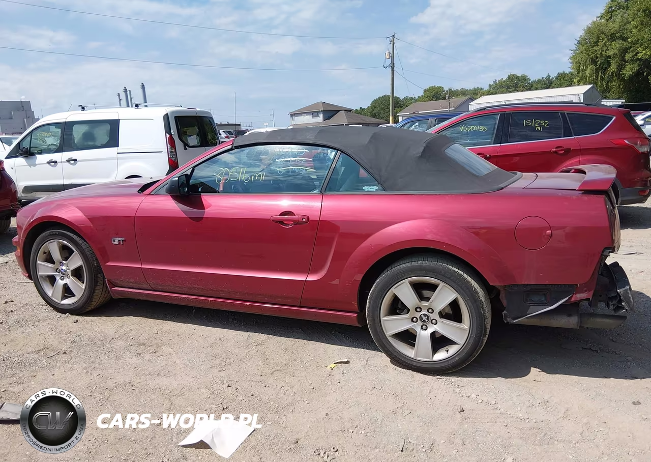 2006 Ford Mustang Gt VIN:1ZVFT85H665128119 - 15