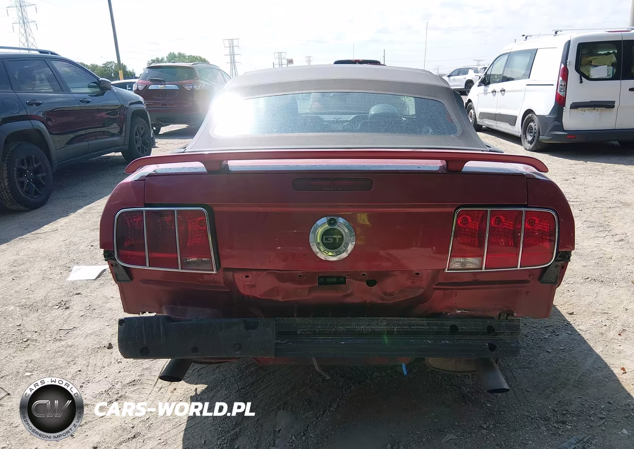 2006 Ford Mustang Gt VIN:1ZVFT85H665128119 - 17